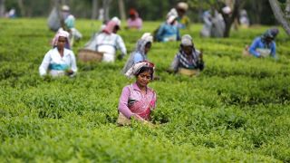 Assam Cabinet has approved three percent reservation for tea plantation tribes and tribal communities in Class I and II government jobs